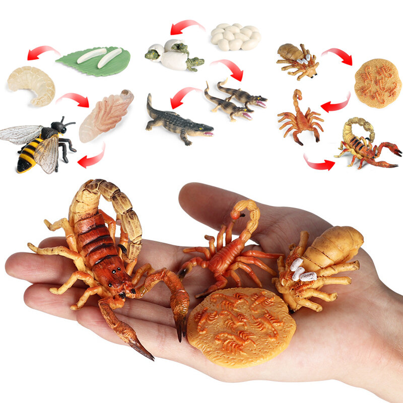 Figuras de acción DIY para niños, modelos de insectos de ciclo de vida de animales, mariposa, abeja, simulación, juguetes educativos para la primera infancia, regalo, nuevo