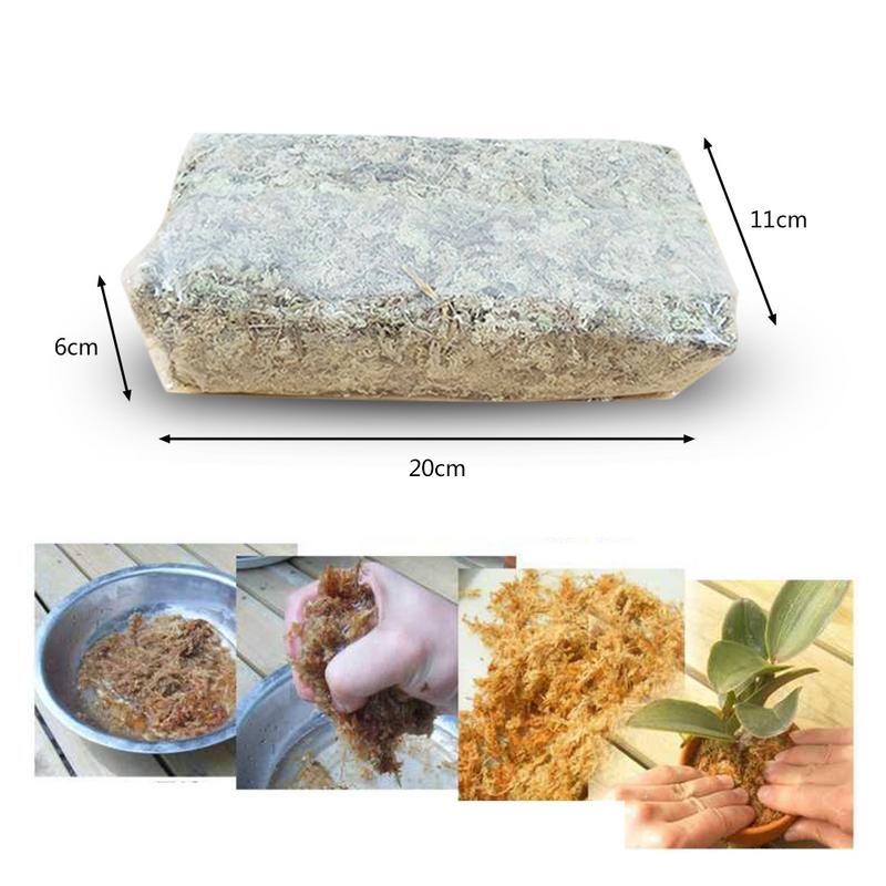Органическое удобрение Sphagnum Moss 6lnutrition, увлажняющий торфяной сухой мох для саррацения, Орхидея, сжатый пакет, Садовые принадлежности