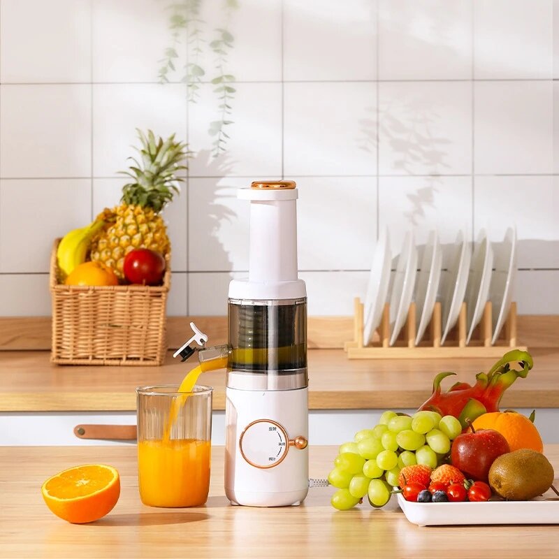 Mini Slow Juicer Screw Cold Press Extractor Patented Filter-Free Electric Fruit Vegetable Juicer Machine Modle-Portabable