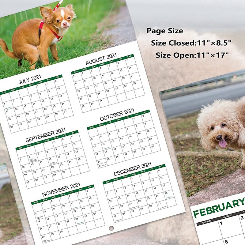 Calendário de 2022-cães pooping calendário de parede, presentes de calendário engraçado, perfeito 2022 calendário para presentes de elefante branco engraçado