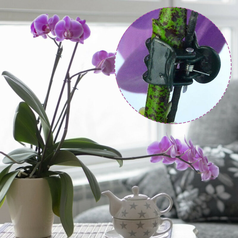 50-Pcs impianto di fissaggio a parete clip invisibile fiore arrampicata clip orchidea vite supporto clip steli di supporto viti crescere in posizione verticale