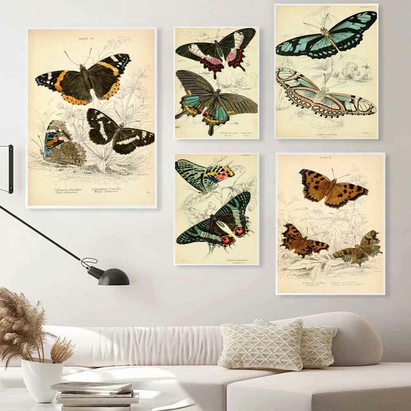Pintura en lienzo de arte Retro Para decoración del hogar, póster artístico de mariposa hermosa para pared, oficina, sala de estar