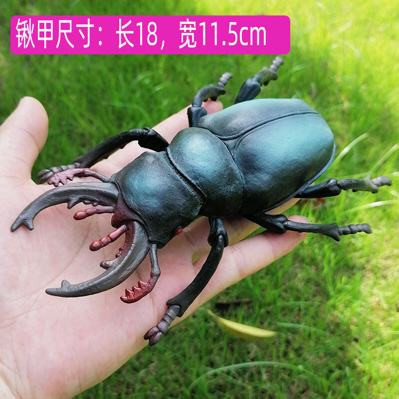 Resin Insect Decoration Room Insect Model Resin Transparent Manual Epoxy Resin