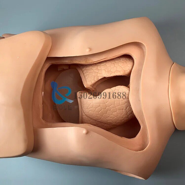 Nasogastric tube and trachea nursing model Nasogastric feeding tube Cutting suctioning training Gastric Tracheal gastric lavage