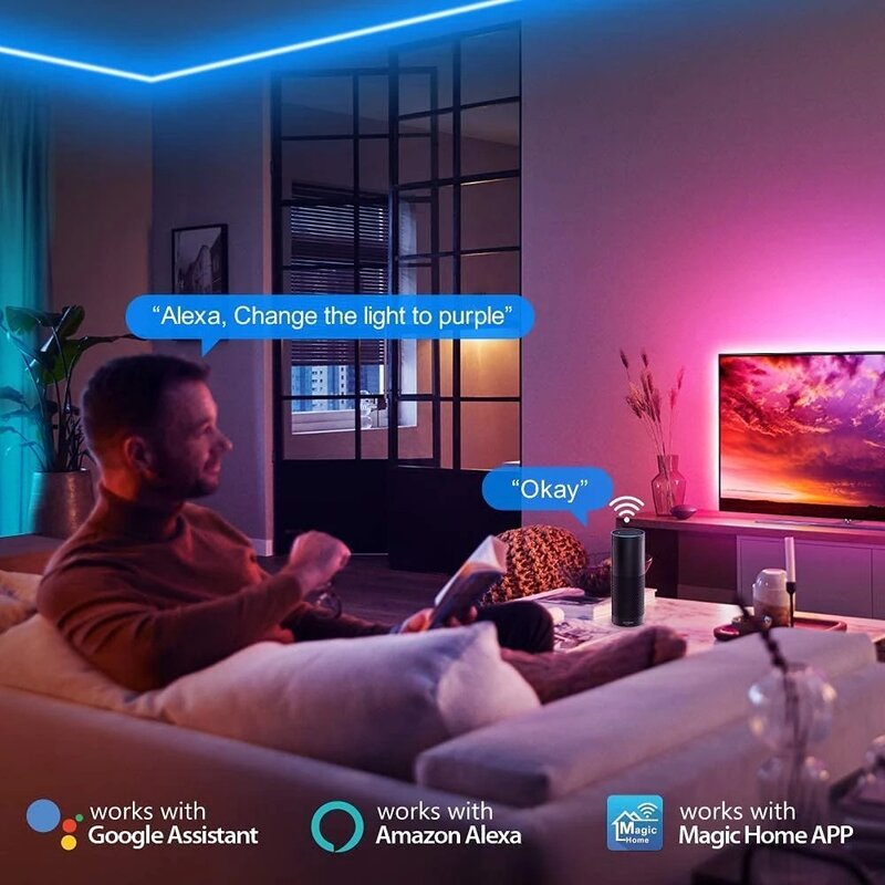 5M-30M LED Strip Lights RGB 5050 Alexa Voice Bluetooth Control Luces nastro flessibile a diodi lampada per Festival Fita Home Luz Decor