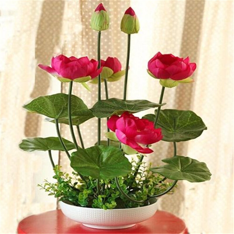 3Pcs Vegetables Plant Colorful Aromatic lotus Flower Garden Home Furniture Fruits Trees Wood Bathroom Cabinet B4H-Z
