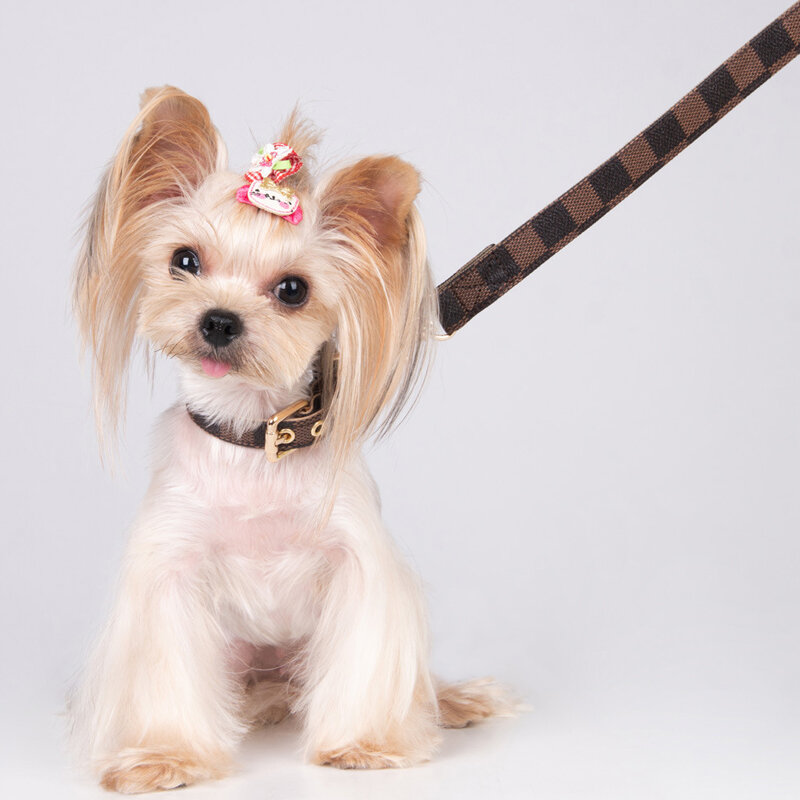 Dog Collar Leash Set Cat Collar Dog Accessories for Small Dogs Pet Collar Accessories Dog Harness Dog Harness and Leash Set Pets