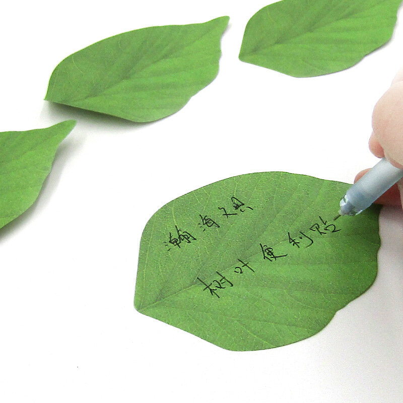 50 Blatt niedliche grüne Blätter Notiz blöcke einfache Schüler Haft notizen Nachricht Notiz papier kawaii Briefpapier Schule Bürobedarf