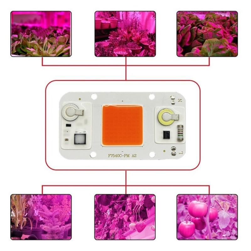 Lámpara LED COB de espectro completo para crecimiento de plantas, luz de 20W, 30W, 50W, AC110V, 220V para cultivo de plantas de interior hidropónicas y vegetales