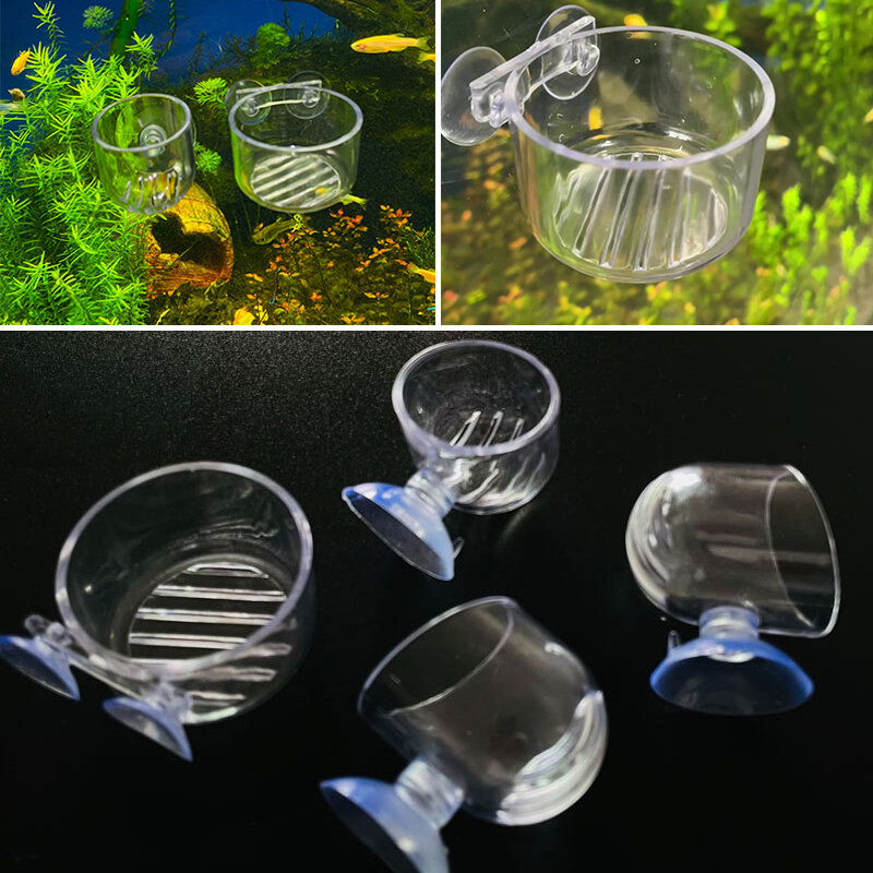 Mini maceta colgante de cristal acrílico para acuario, Recipiente cilíndrico de plantación de agua para pecera, accesorio de alimentación para insectos pequeños
