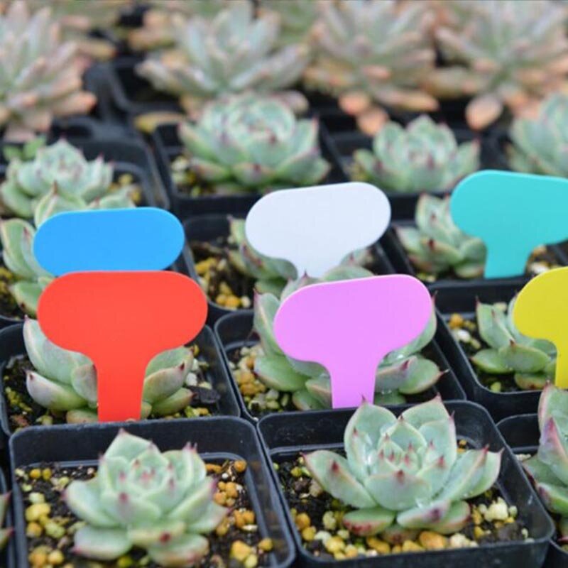 100pcs Colorful Plant Labels Tags Markers Garden Tools Vegetable Tags Sign PVC Gardening Stake Soil Paint Waterproof
