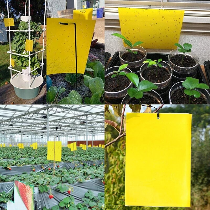 5/10/20pcs Yellow Greenhouse StickyTraps Bugs Sticky Board Multiple Flying Insect Catching Control Sticker Double-sided