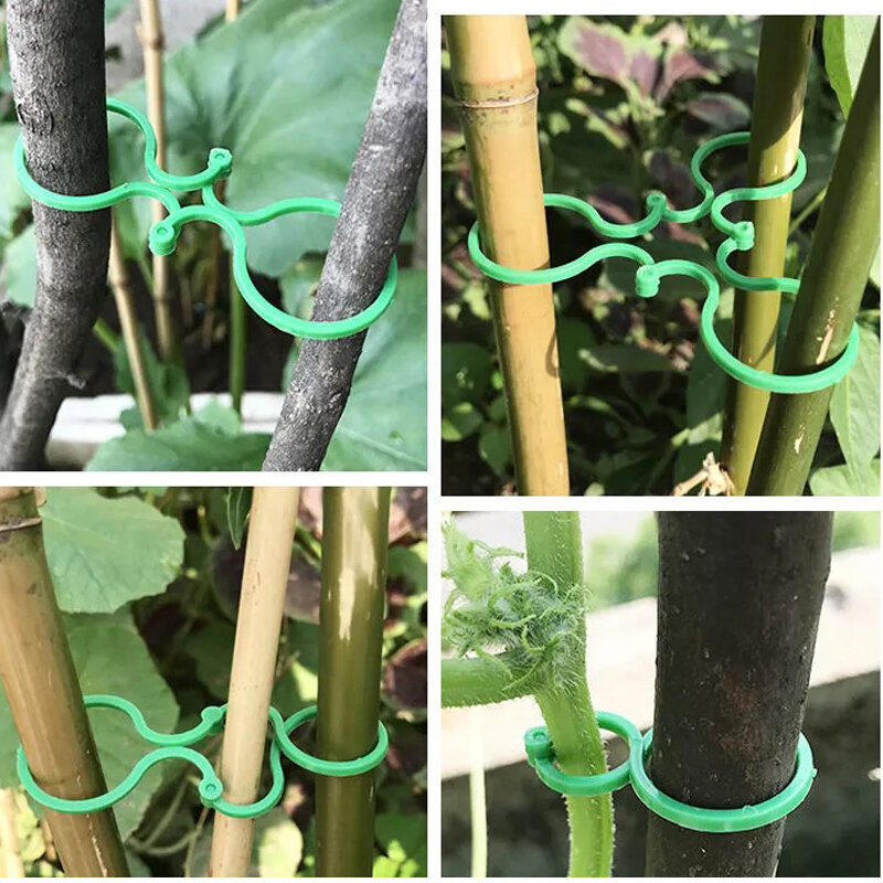 50 pçs videira cintas planta suporte clipes para jardim pátio empacotado fivela anel ferramenta fixar suporte suporte fixo apoio