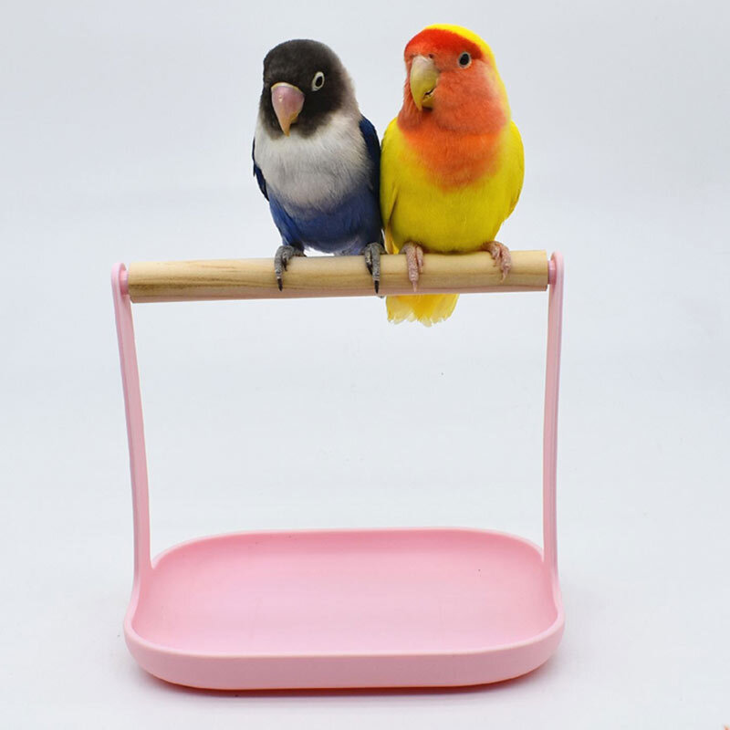 Pássaro suporte prateleira brinquedo pássaro acessórios portátil poleiro e treinamento ferramenta de exercício não-tóxico suporte estável para pequeno pássaro subir