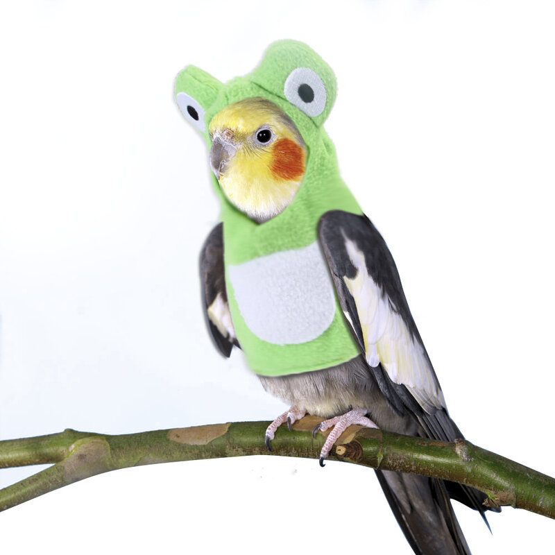 재미 있은 개구리 모양의 새 옷 봉제 플라잉 슈트 앵무새 의상 코스프레 복장 겨울 따뜻한 모자 후드 애완 동물 버드 액세서리
