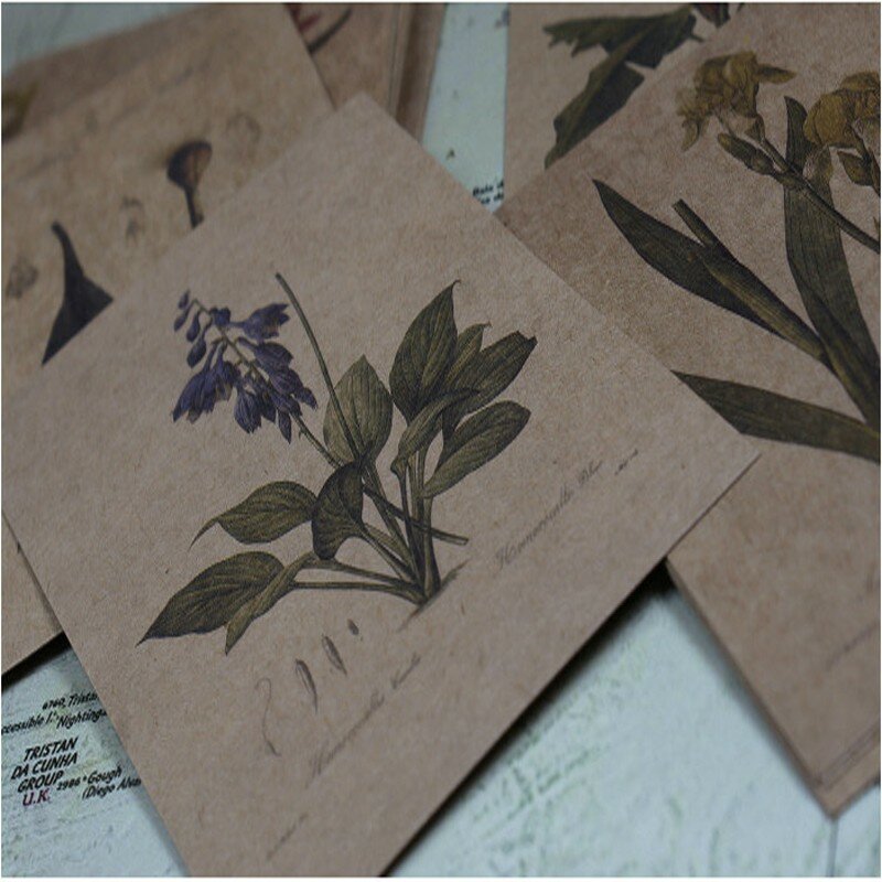 30 folhas/pacote pintadas à mão jardim vintage couro de vaca pintadas flores sistema de plantas pós-natal
