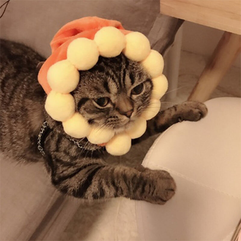 Pet Hat Cute Dog Teddy Dress Up Sun Flower Pet Headwear Wig Cat Head Cover Costume Cap for Puppy Small Dogs Asessoiress Supplies