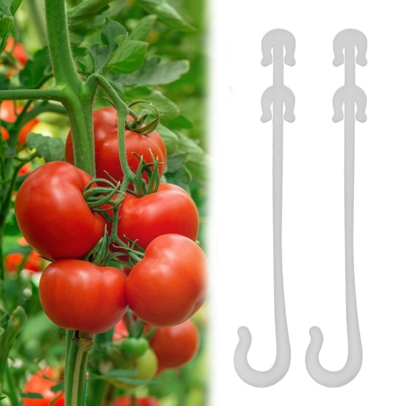 50pcs Plant Tomato Support Ear Hook Clip Plants Trellis Garden Vegetable Patch Fruit J Shaped Hooks Gardening Supplies Plastic
