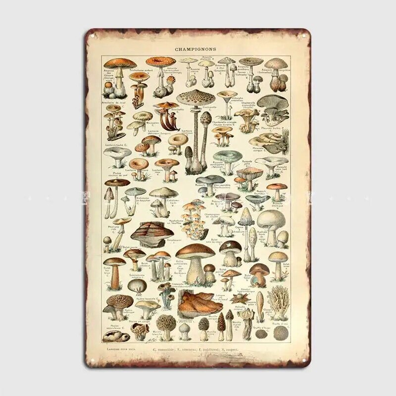 Adolphe – affiche de champignons, Plaque métallique, décor mural rétro, Pub, Garage, Cave murale, affiches en étain