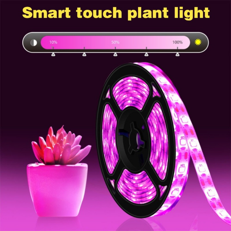LED Phyto Grow Lamp Waterproof 0.5M/1M/2M/3M Hydroponic Garden Plants Growing Touch Dimming USB Full Spectrum Grow Light Strip