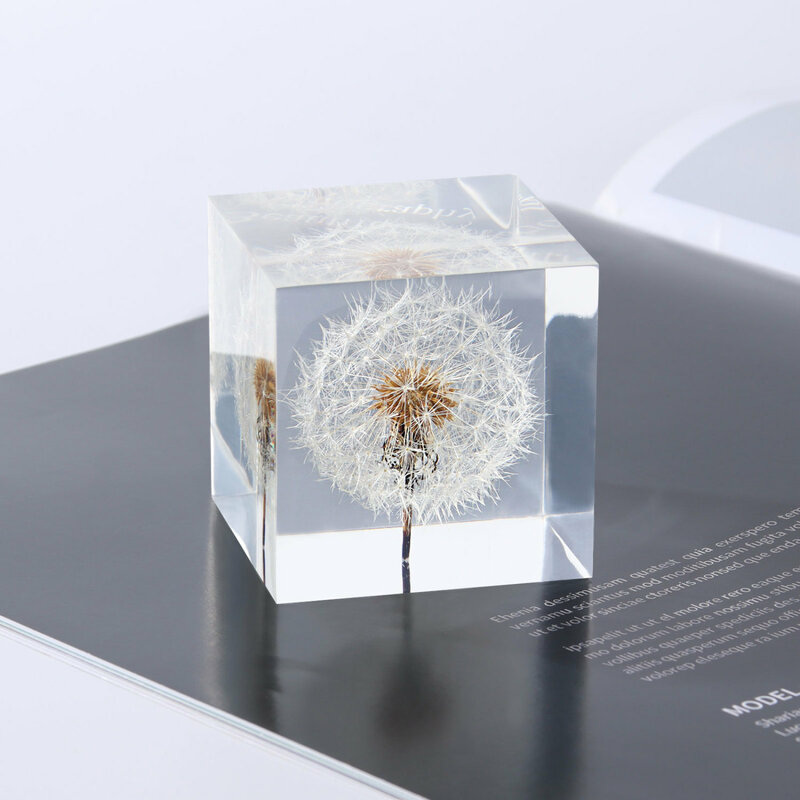Dandelion cube immortal flower crystal ball birthday gift teacher business gift creative lover studio bedroom decoration 002