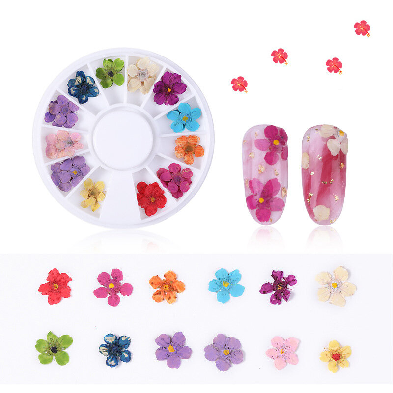 1 Kotak 3D Dekorasi Kuku Bunga Kering Stiker Bunga Alami Campuran Bunga Kering DIY Stiker Seni Kuku Perhiasan UV Gel Poles Manikur