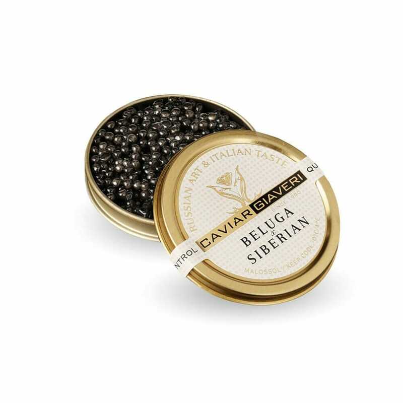 Caviar beluga siberiano giaveri