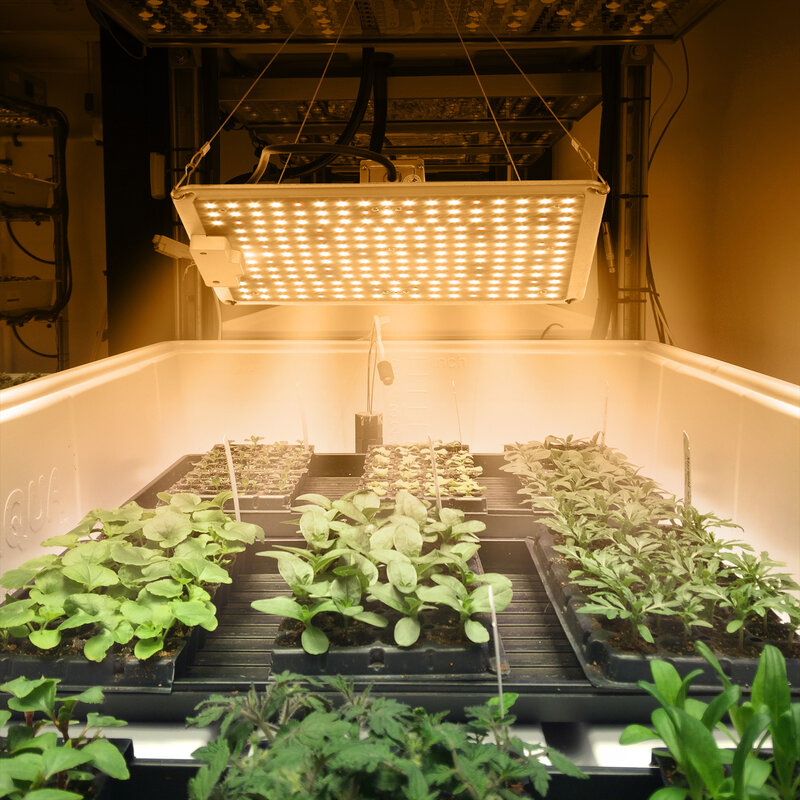 Светодиодная лампа полного спектра для выращивания растений, 1000 Вт, квантовая лампа для выращивания растений в теплицсветильник