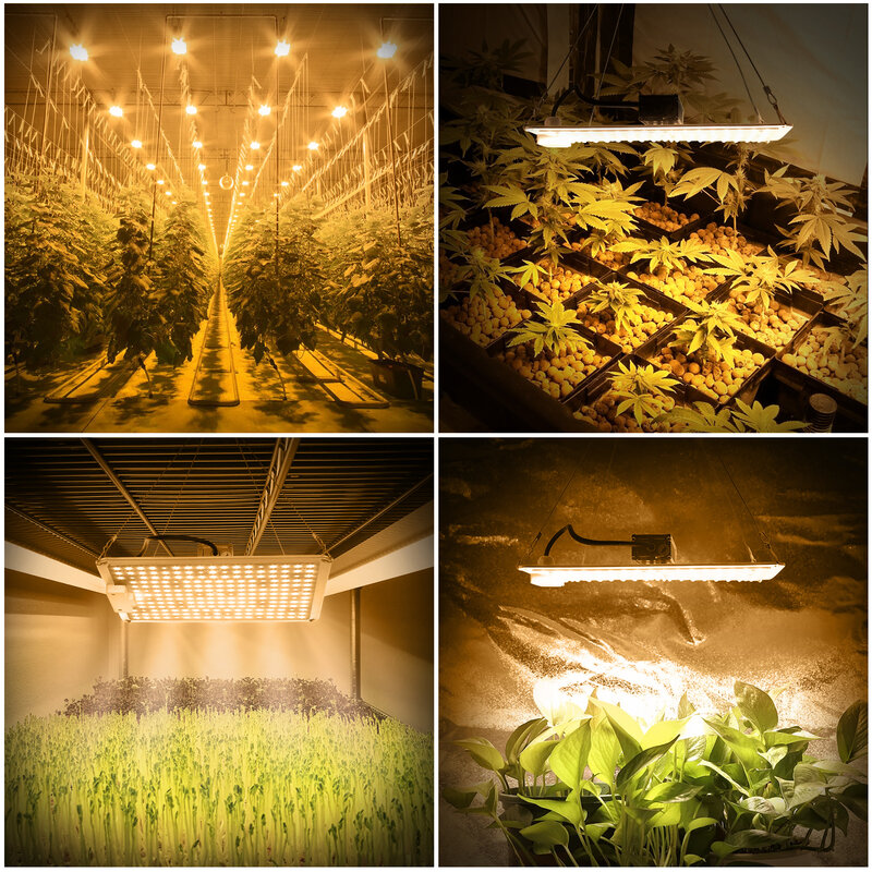 温室用のフルスペクトルLED成長ランプ,植物用の園芸照明,1000W