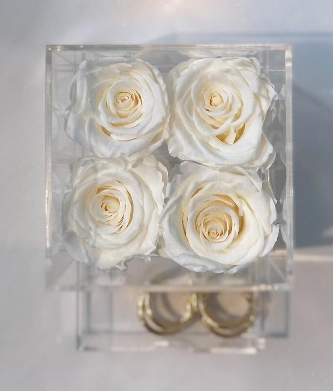 صندوق الورود من الاكرليك. 4 الورود الحقيقية التي تستمر سنة أو أكثر! تعرف باسم أزهار محفوظة أو ورود أبدية أو ورود إلى الأبد. مجوهرات مربع.
