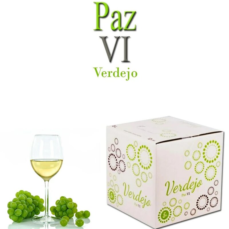 Bag in Box verdejo 5 Litros Vino Blanco Verdejo seco afrutado caja de vino blanco Verdejo Paz VI