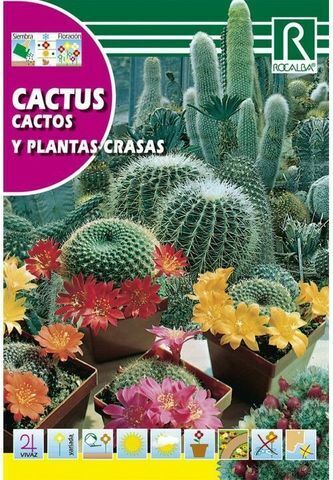 Kwiaty w nasionach kaktusa