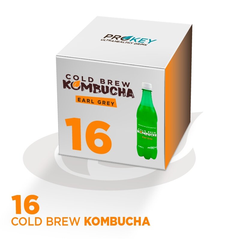 กล่อง COLD BREW KOMBUCHA EARL สีเทา BIO (16X500ml)
