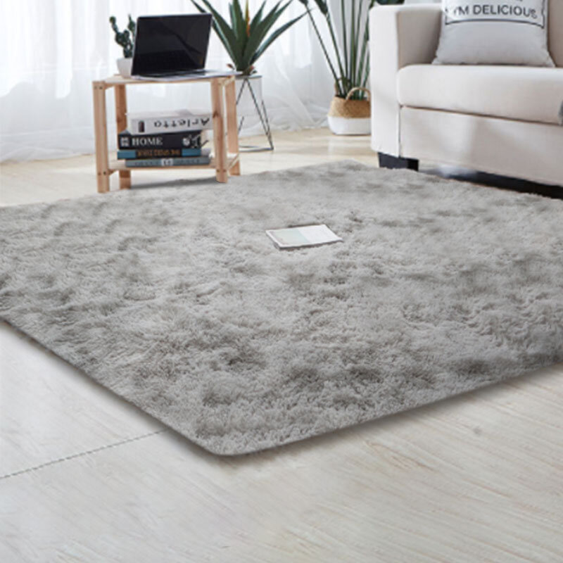 Home Decor Carpets for Windows and Bedsides Style Household Modern Home Decoration Simple carpet living room