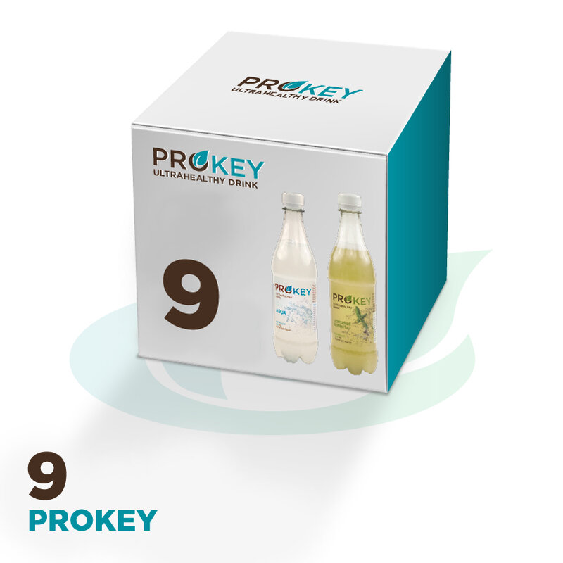 9 Prokey/Kombucha, scegliere sapore (9x500ml)