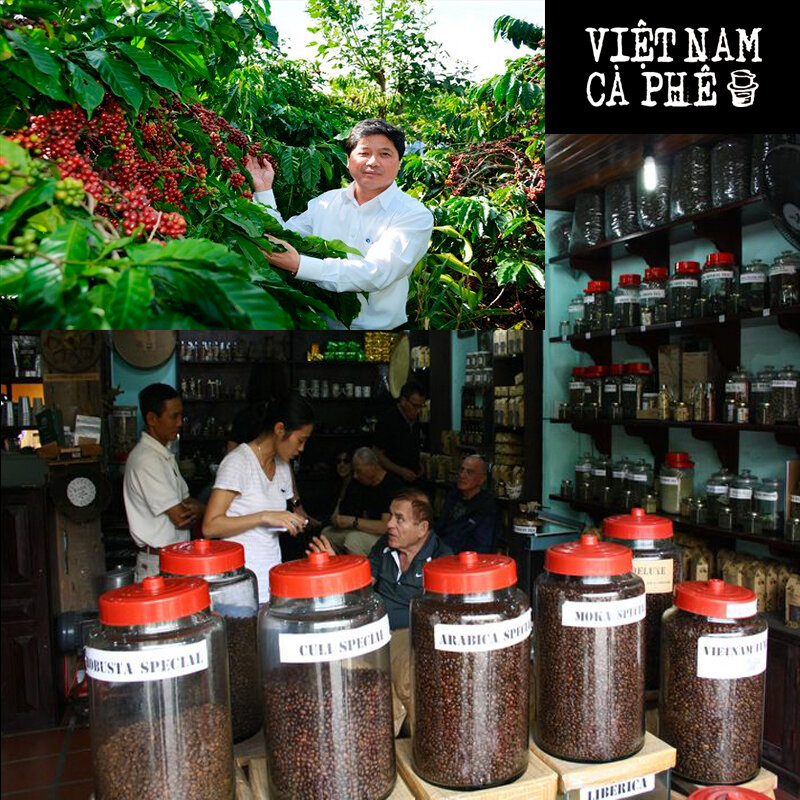 "Blue Dragon" Премиальный Вьетнамский кофе в зернах - робуста, VIET NAM CA PHE, 250 гр, 500 гр, 1 кг - Голубой Дракон