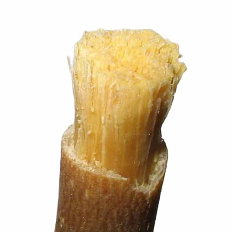 Tradycyjny naturalny szczoteczka do zębów Miswak Miswak Arak Siwak Miswaak wybielacz zębów miękkie 10 sztuk