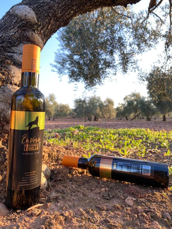 Extra reines olivenöl, Pack 6 flaschen Envero, Herriza de la Lobilla, produkt von Spanien